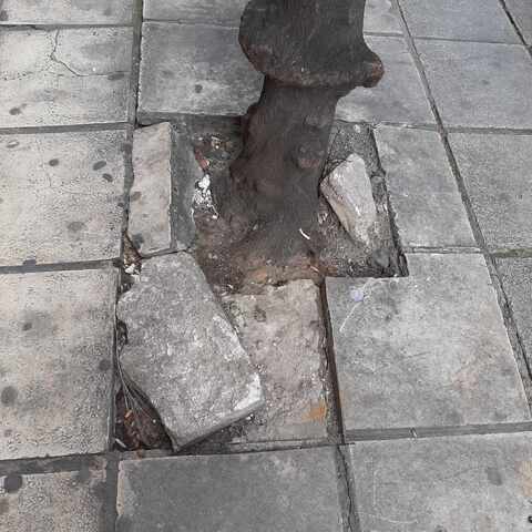 Φωτογραφία 3